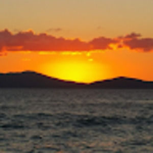 Meet your Posher, Dan